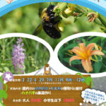 野草育成プロジェクト～ハナバチのための花壇作り～