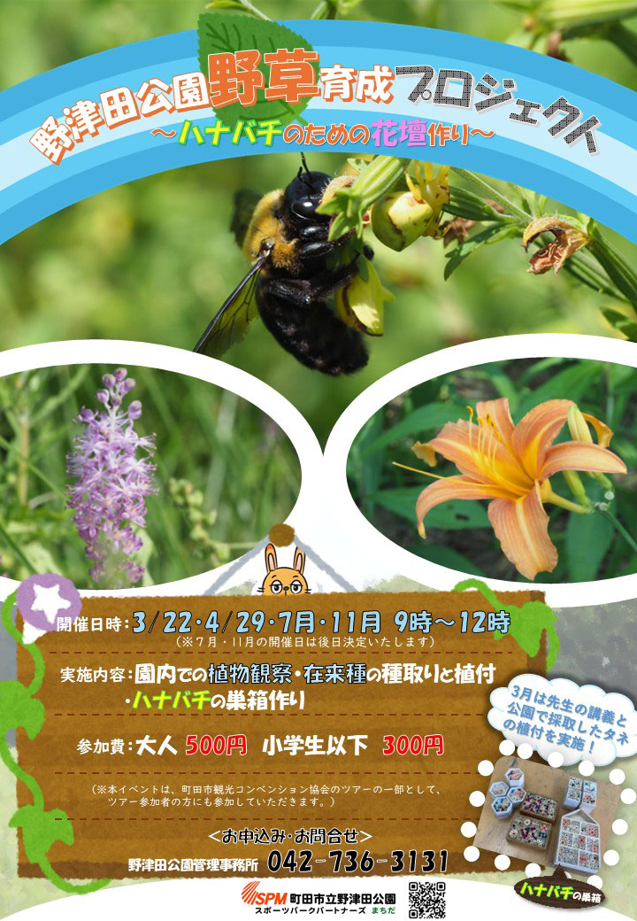 野草育成プロジェクト～ハナバチのための花壇作り～