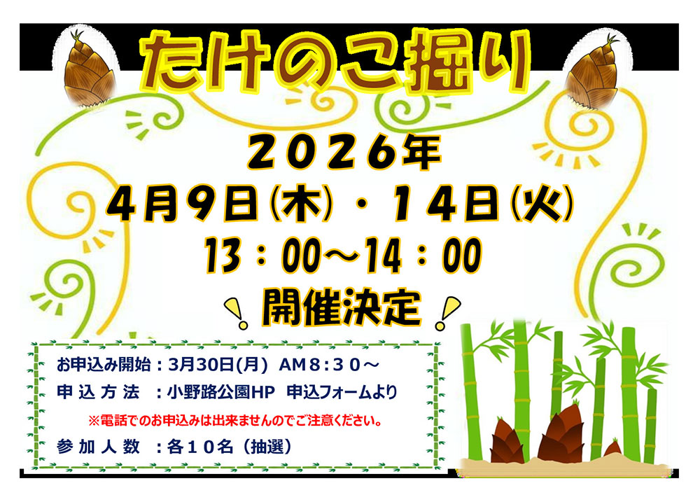 【小野路公園】たけのこ堀り